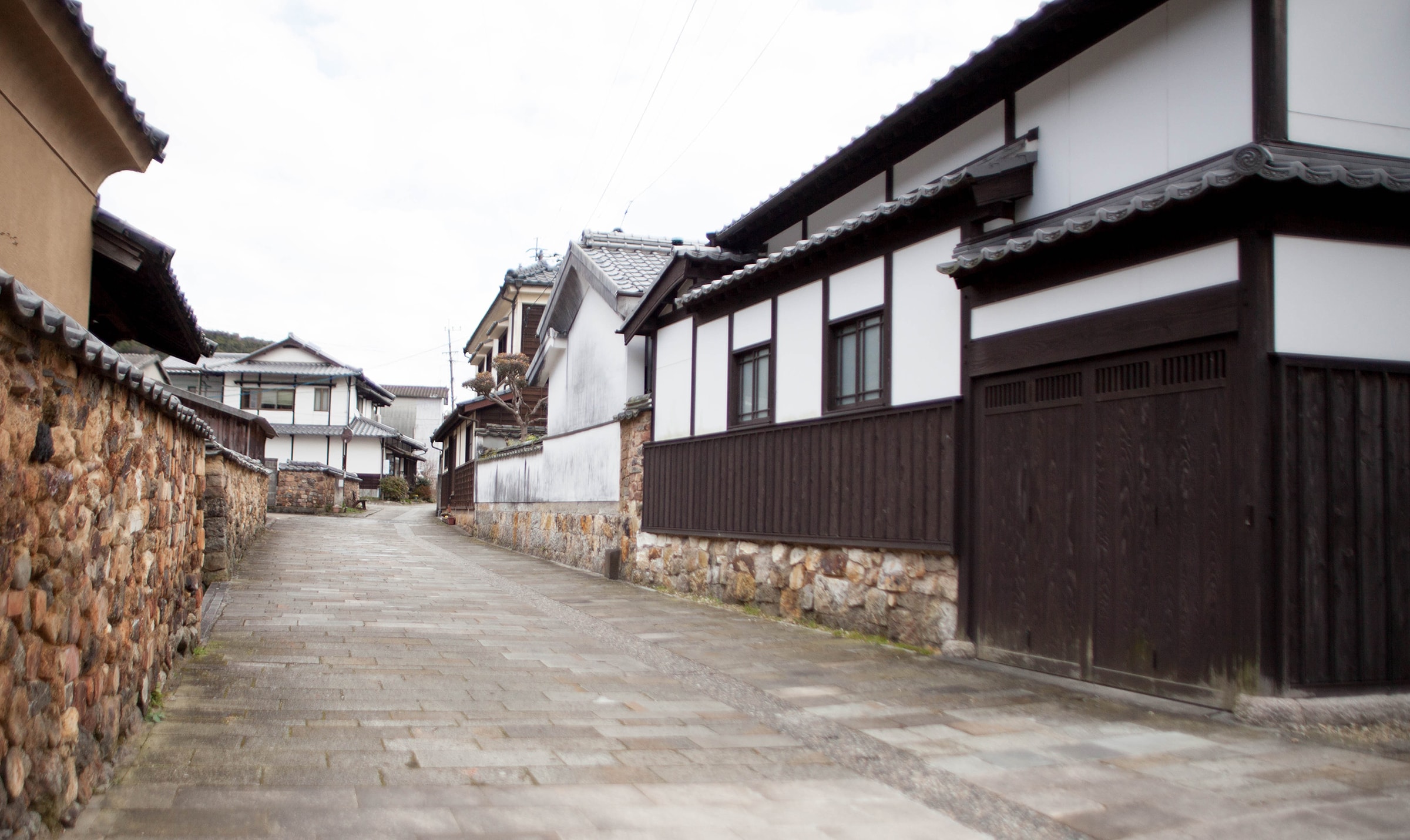 有田にプラスを。